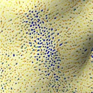 奈米氣泡蓮蓬頭管經實驗室檢測，針對毛孔改善使用一週後的效果圖示
