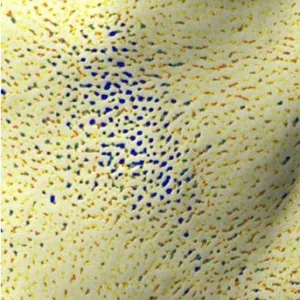 奈米氣泡蓮蓬頭管經實驗室檢測，針對毛孔改善使用二週後的效果圖示