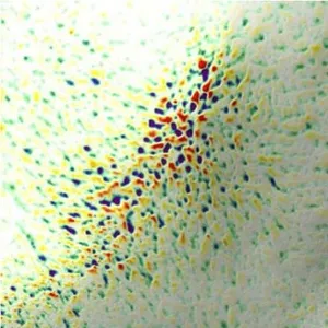 奈米氣泡蓮蓬頭管經實驗室檢測，針對肌膚紋理使用一週後的效果圖示