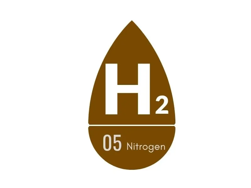 h2-1 we